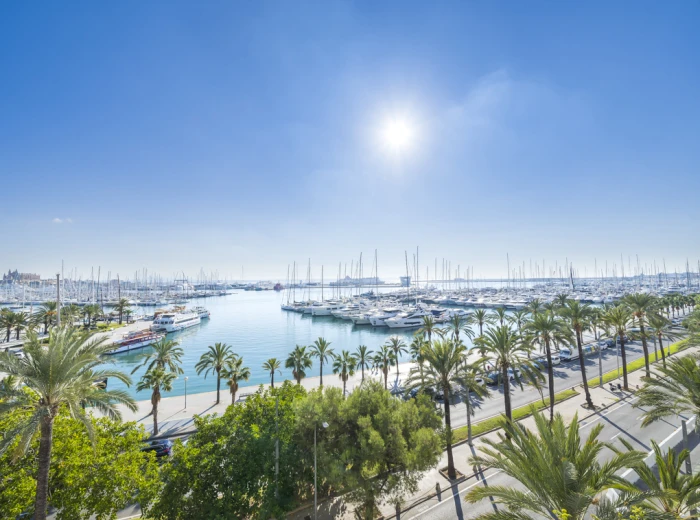 Palma Marítimo - development with spectacular harbour views-1
