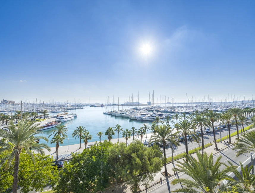 Palma Marítimo - ontwikkeling met spectaculair uitzicht op de haven-1