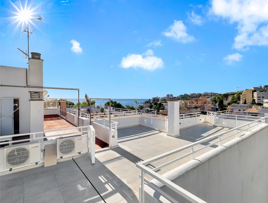 Penthouse with great potential in San Agustin-12