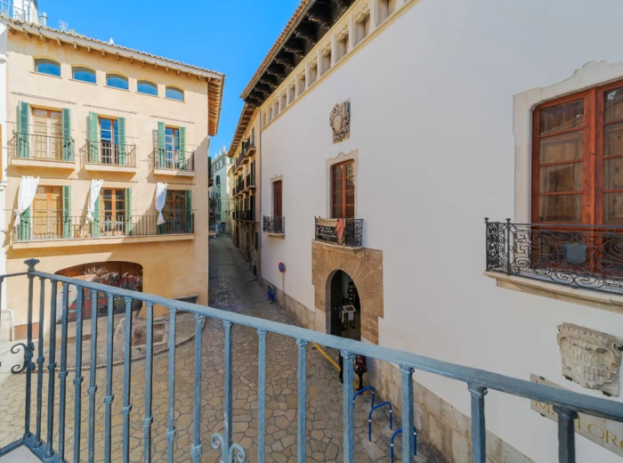 Nieuwbouw triplex appartement met parkeerplaats in een historisch paleis in Palma de Mallorca - Oude Stad-2