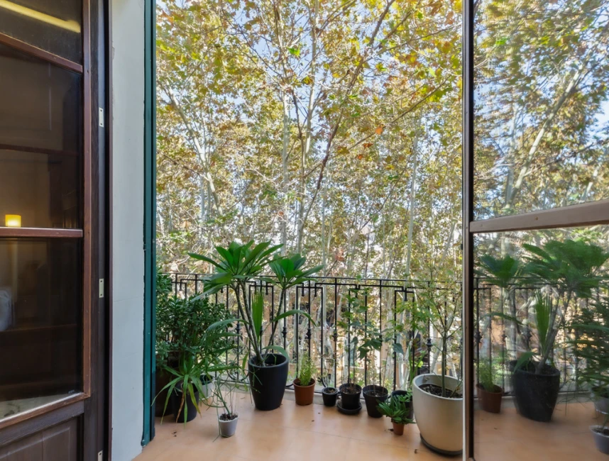 Elegant lägenhet med balkong och hiss i bästa läge i Palma de Mallorca - Gamla stan-2