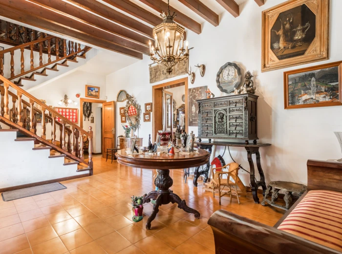 Beautiful country house 15 minutes from Palma in Marratxi-4