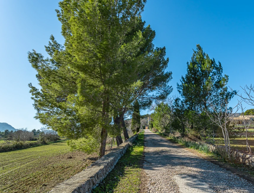 Prachtig 17e eeuws landgoed in Establiments, Palma de Mallorca-29