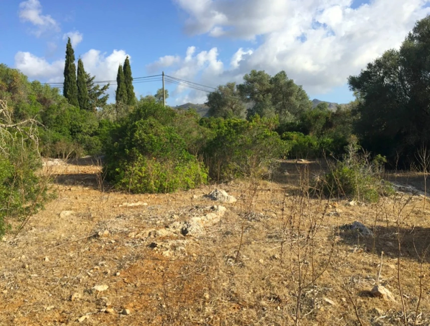 Plot with approved finca project-8
