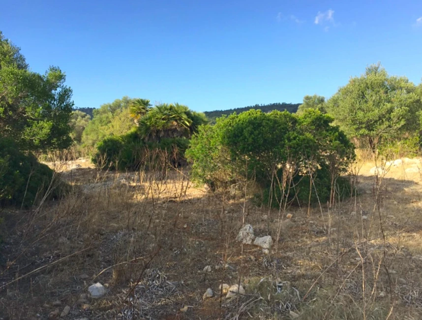 Plot with approved finca project-7