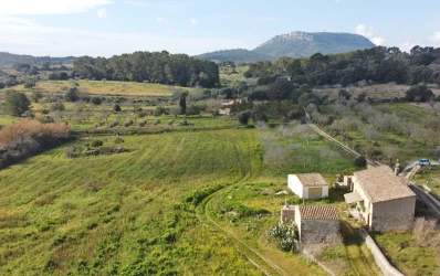 Traditional finca for renovation with licence