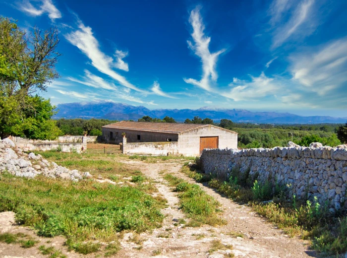 Unique country estate for renovation in Sineu-10