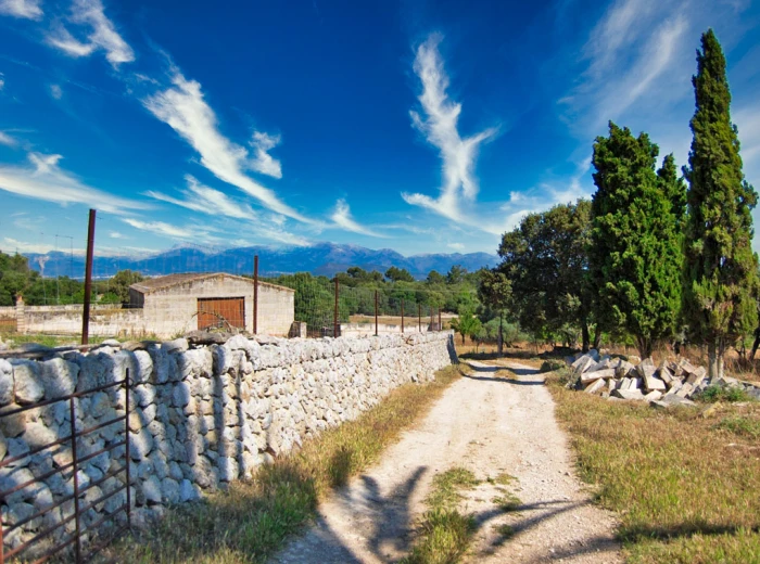 Unique country estate for renovation in Sineu-9