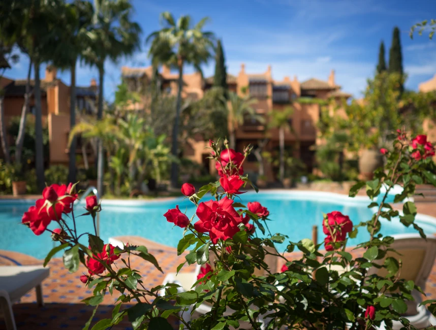 Luxe tropical : appartement de 2 chambres avec jardin et piscine-14