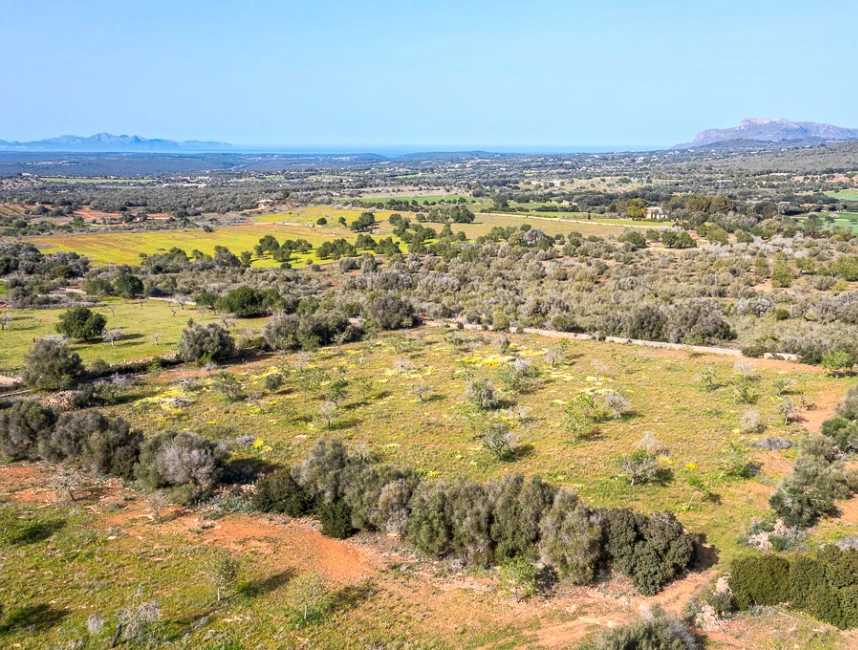 Plot with panoramic views and finca project between Artá and Manacor-1