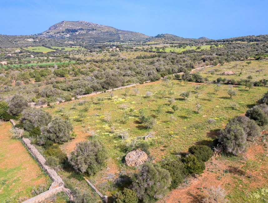 Plot with panoramic views and finca project between Artá and Manacor-2