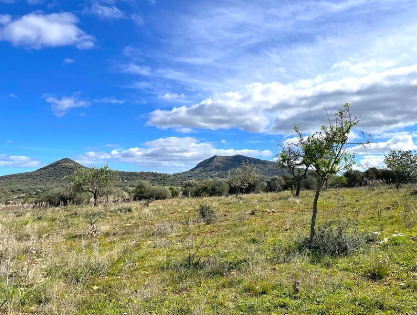 Plot with panoramic views and finca project between Artá and Manacor-6