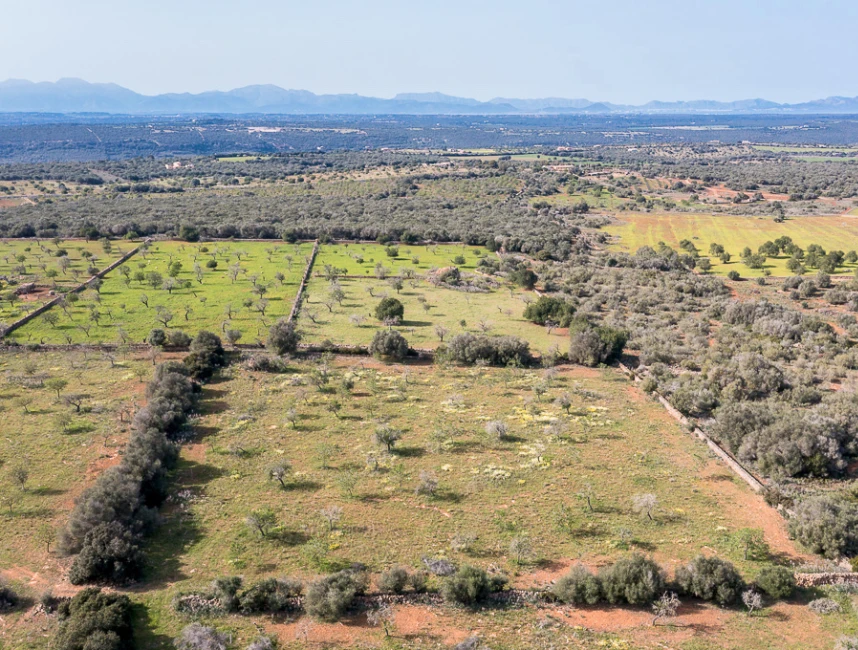 Plot with panoramic views and finca project between Artá and Manacor-3