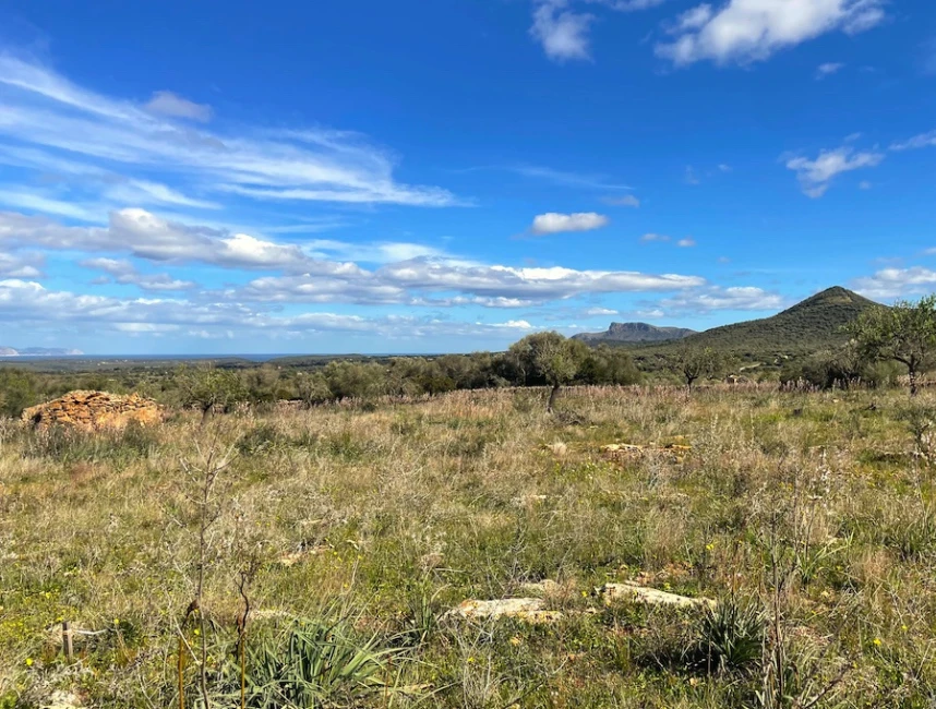 Plot with panoramic views and finca project between Artá and Manacor-5