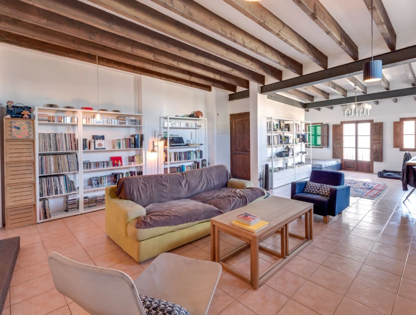 Charming flat with loft character and roof terrace-2