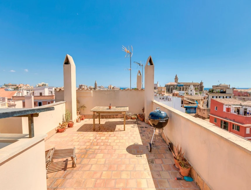 Affascinante appartamento con carattere di loft e terrazza sul tetto nel centro storico - Palma di Maiorca-3