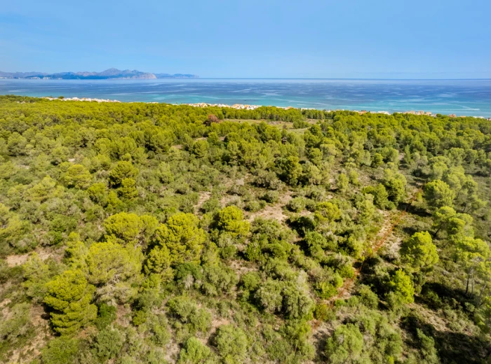 Land for sale with sea views and woodland in Son Serra de Marina-4