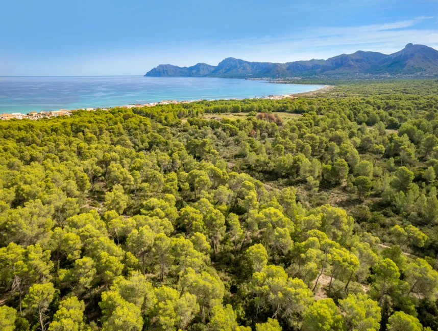 Grand terrain avec vue sur la mer et sa propre forêt à Son Serra de Marina-3