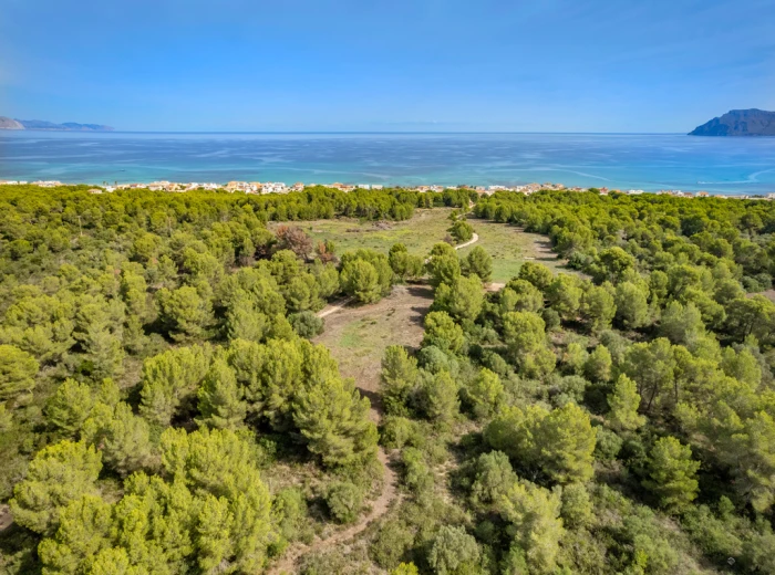 Land for sale with sea views and woodland in Son Serra de Marina-2