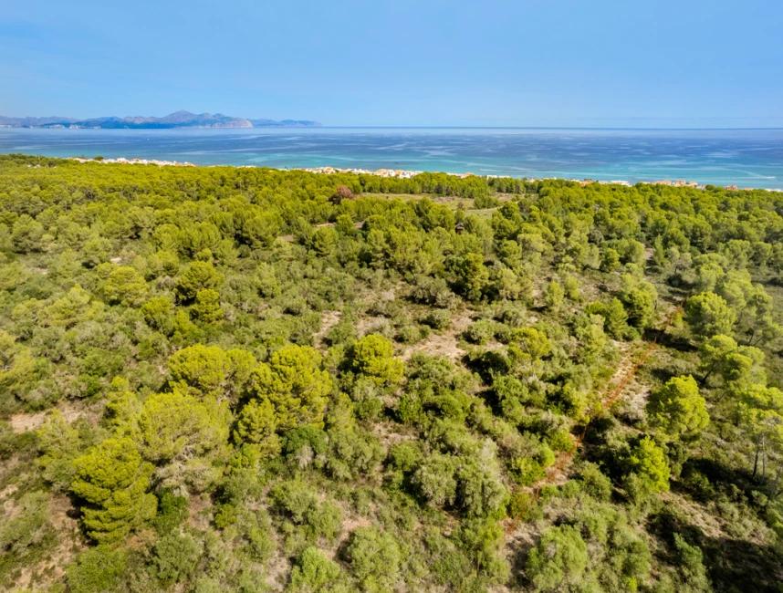 Grand terrain avec vue sur la mer et sa propre forêt à Son Serra de Marina-4