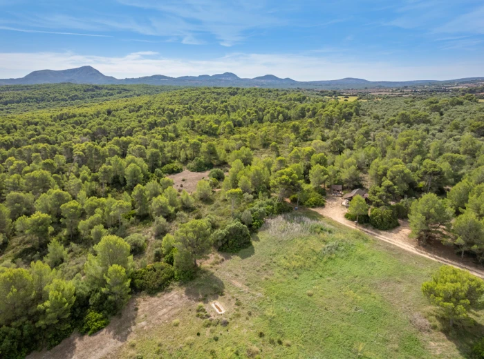 Land for sale with sea views and woodland in Son Serra de Marina-5