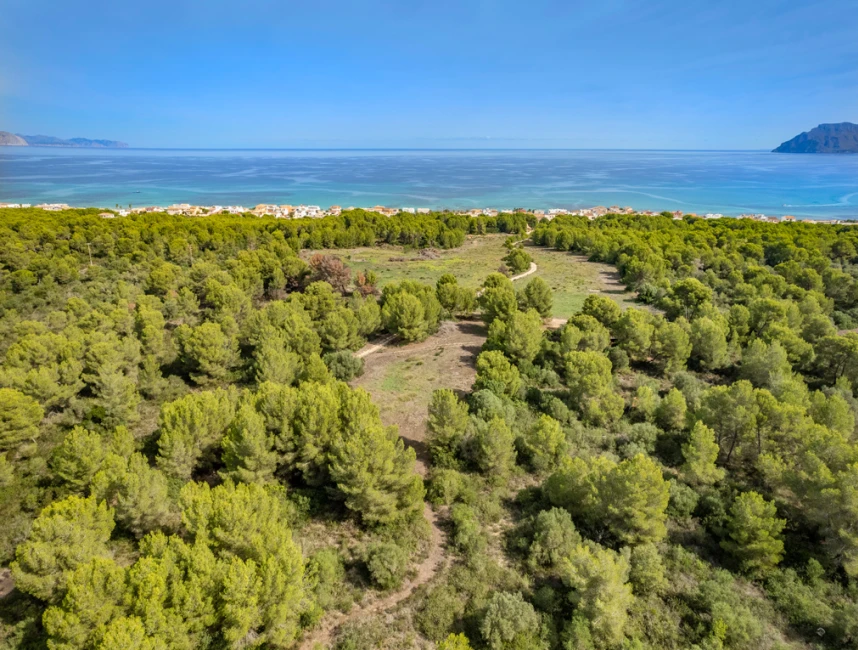 Grand terrain avec vue sur la mer et sa propre forêt à Son Serra de Marina-2