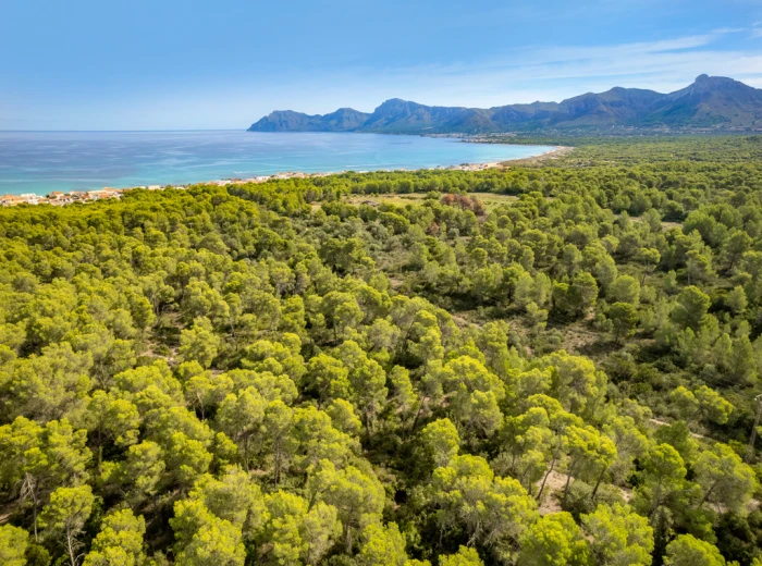 Land for sale with sea views and woodland in Son Serra de Marina-3