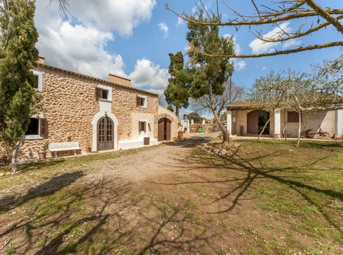 Authentic natural stone finca with potential-19