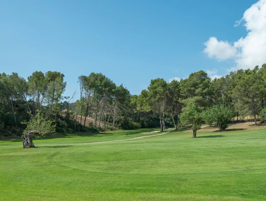 Te renoveren villa met uitzicht op de golfbaan in Son Vida-4