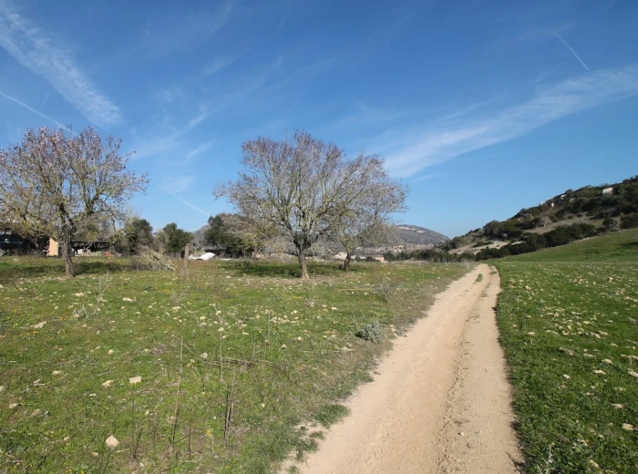 Finca plot in a picturesque rural setting near San Lorenzo-2