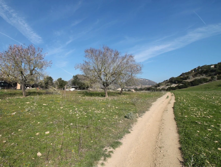 Finca plot in a picturesque rural setting near San Lorenzo-2