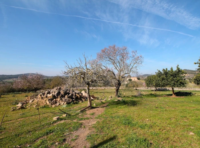 Finca plot in a picturesque rural setting near San Lorenzo-4