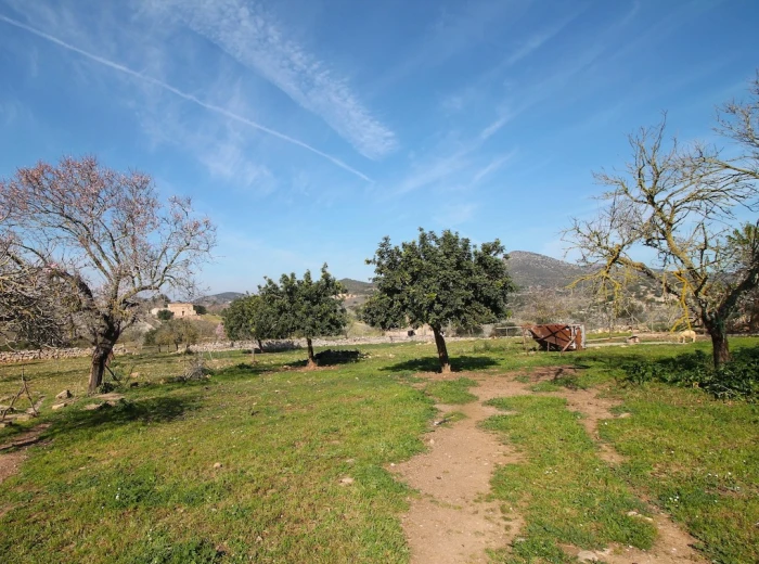 Terreno di una finca in un pittoresco ambiente rurale vicino a San Lorenzo-3
