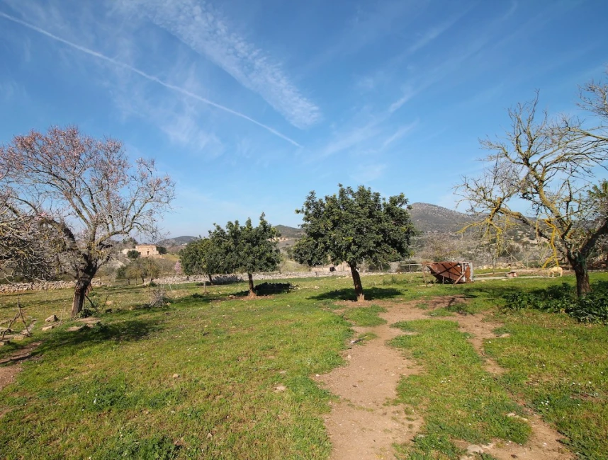 Parcel·la rústica en un entorn pintoresc prop de Sant Llorenç-3