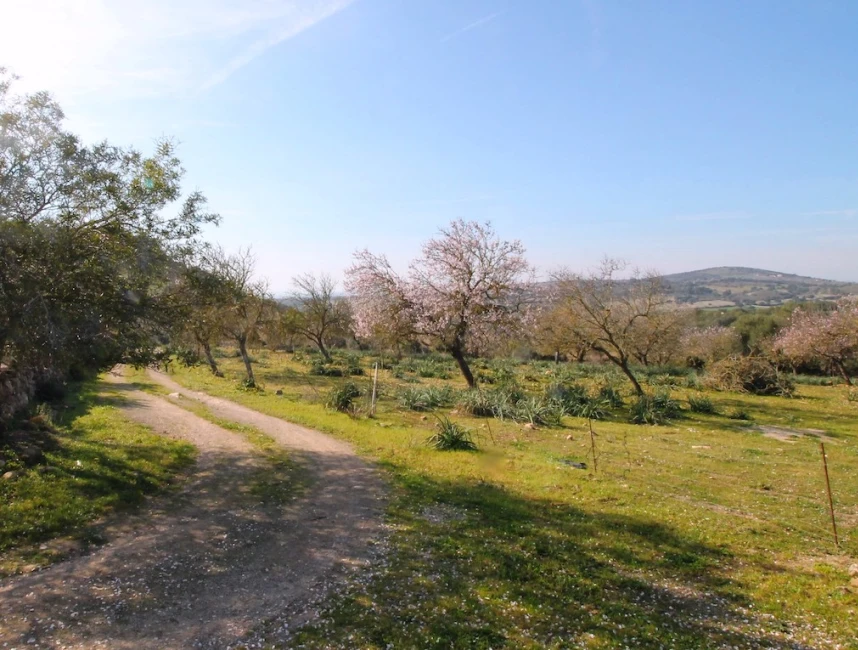 Finca plot in a picturesque rural setting near San Lorenzo-1