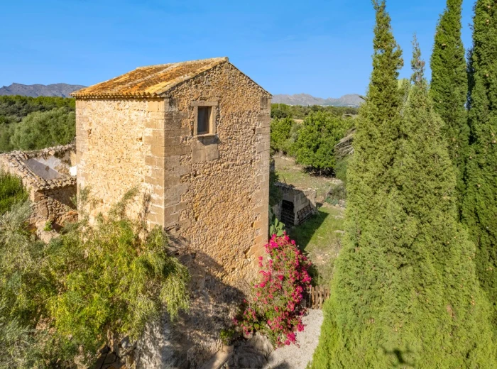 Nuevo proyecto para una finca con casa de invitados - Mallorca Norte-4