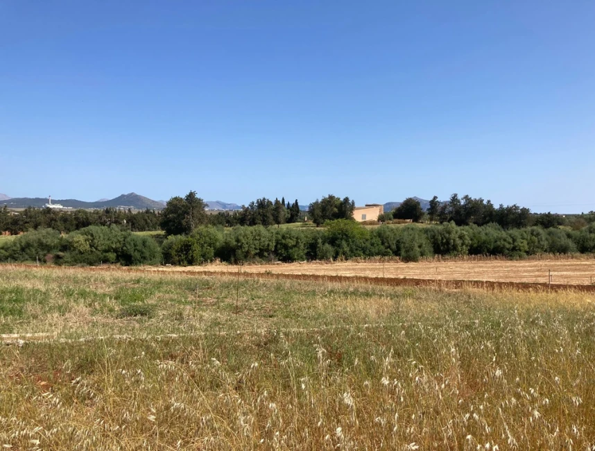 Rural land for sale in Muro-5