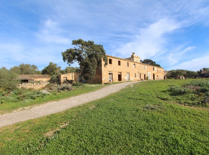 Historical manor-land near Manacor-1