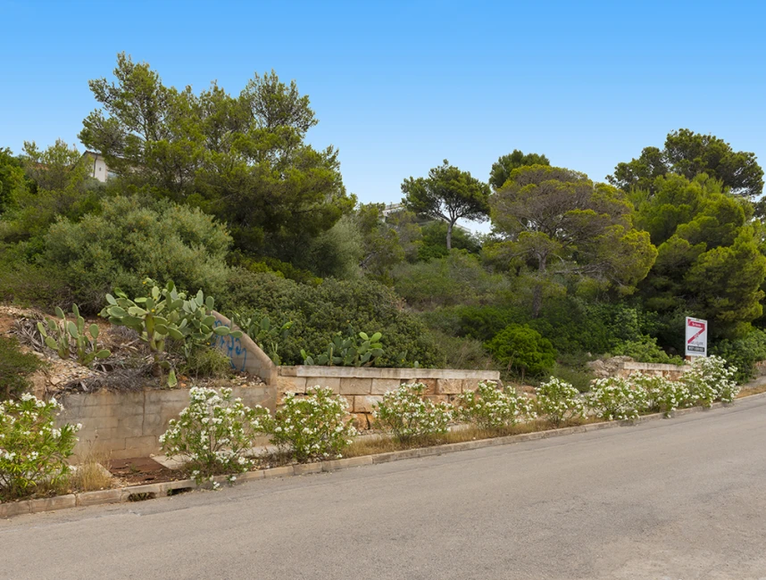 Sea view plot with licence in Santa Ponsa-3