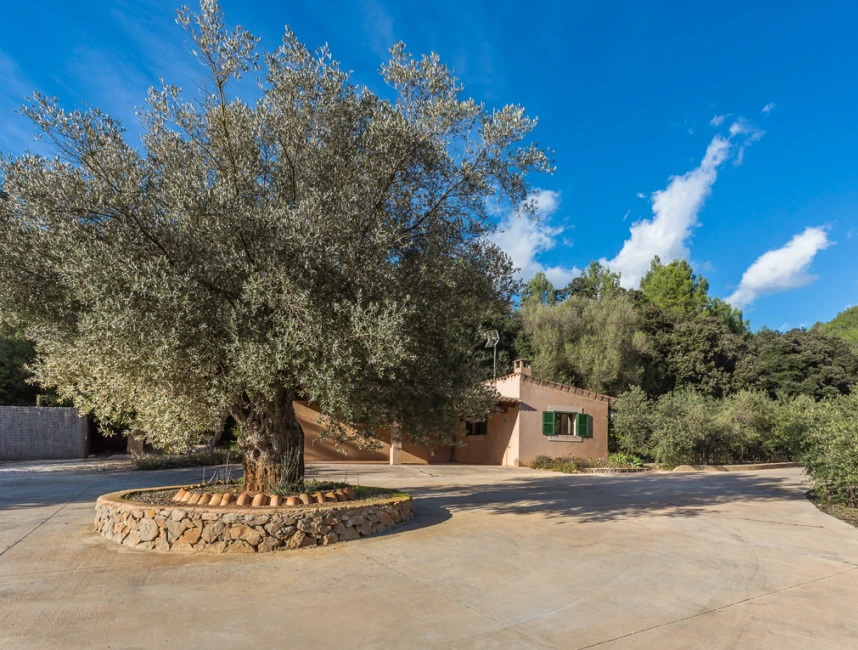 Charmant finca landgoed met olijfgaard en licentie voor vakantieverhuur in Esporles, Mallorca-16