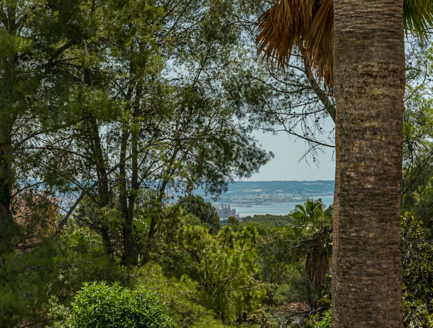 Vila clàssica amb piscina i jardí a Son Vida, Palma de Mallorca-4