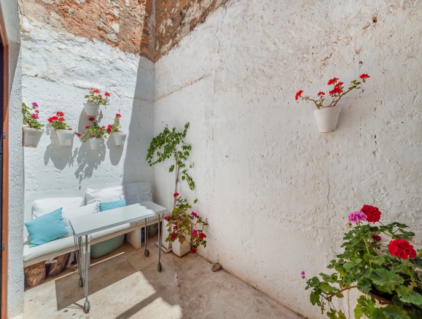 Small townhouse in Es Llombards-8