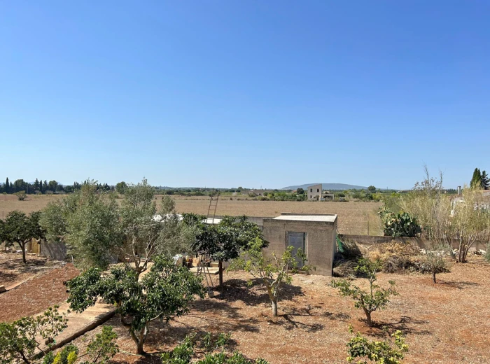 Finca with unobstructed views on the outskirts of Binissalem-11