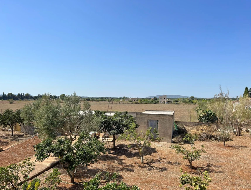 Finca with unobstructed views on the outskirts of Binissalem-11