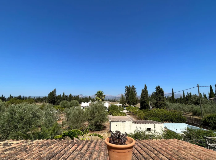 Finca with unobstructed views on the outskirts of Binissalem-2