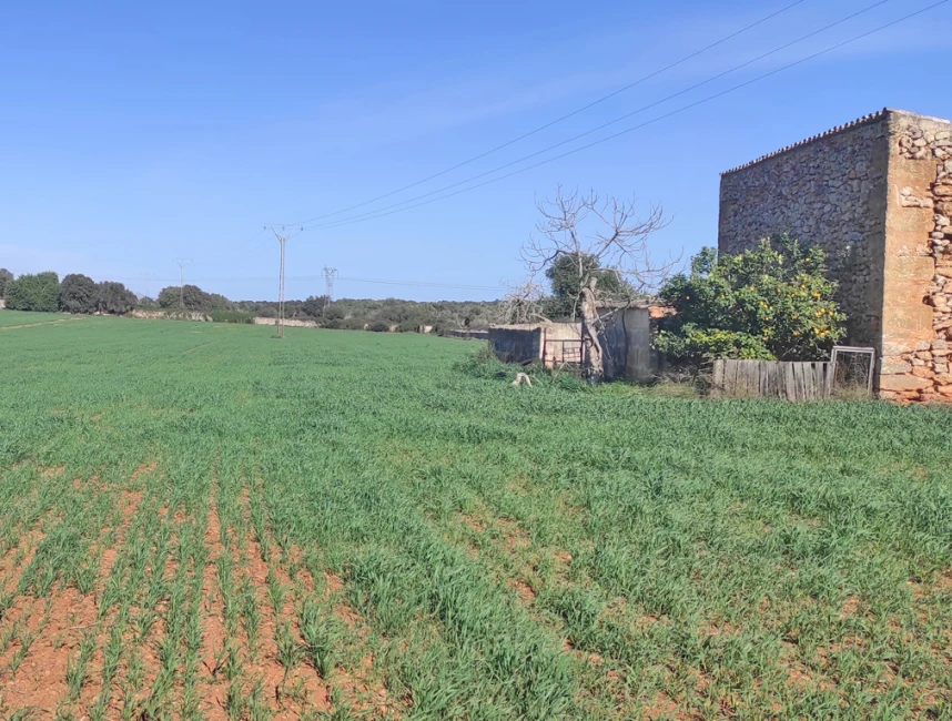 Plot with building licence close to Llubi-4
