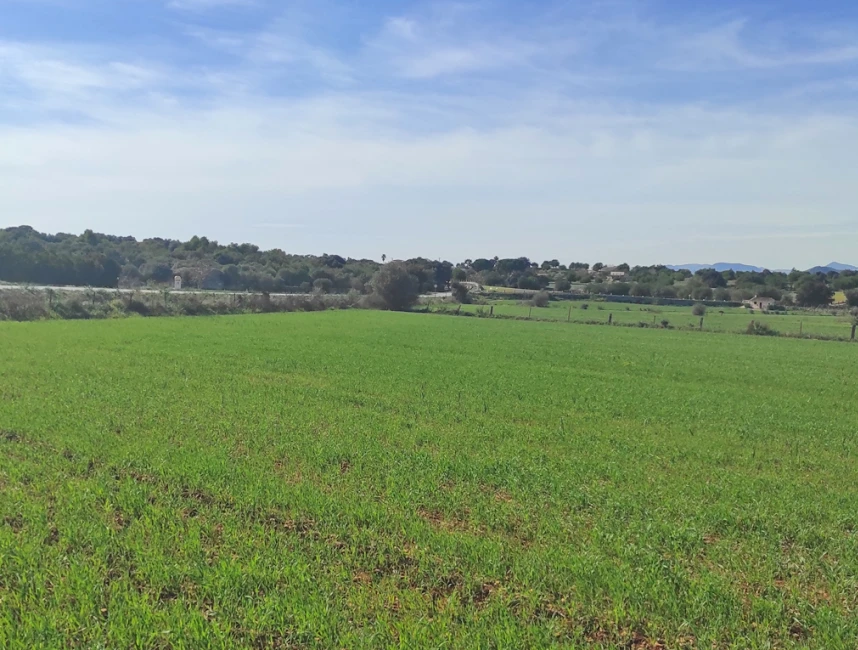 Plot with building licence close to Llubi-2