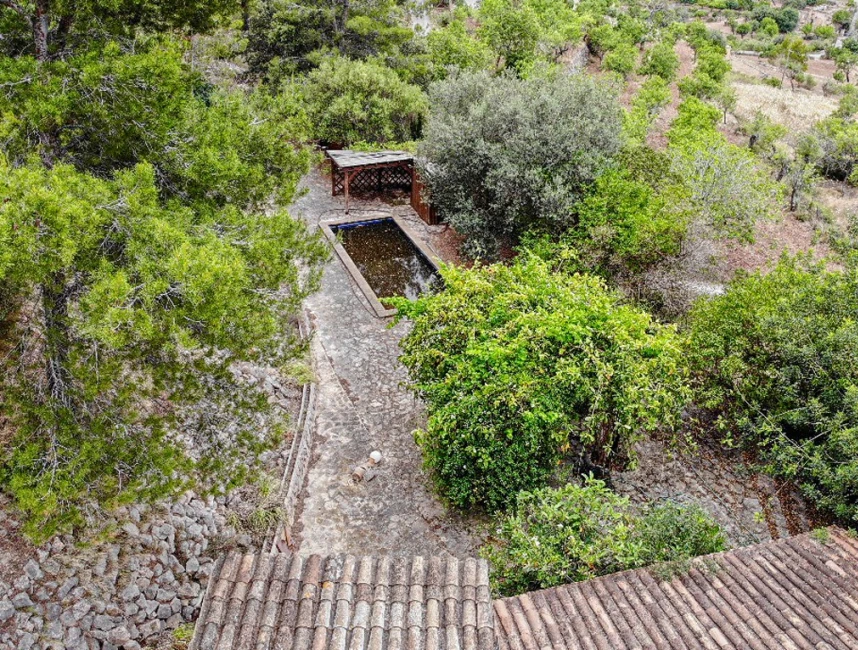 Finca in need of renovation in a quiet location with lots of land-10