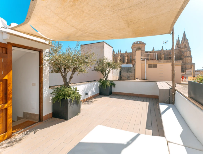 Penthouse with private roof terrace in the Old Town - Palma-2