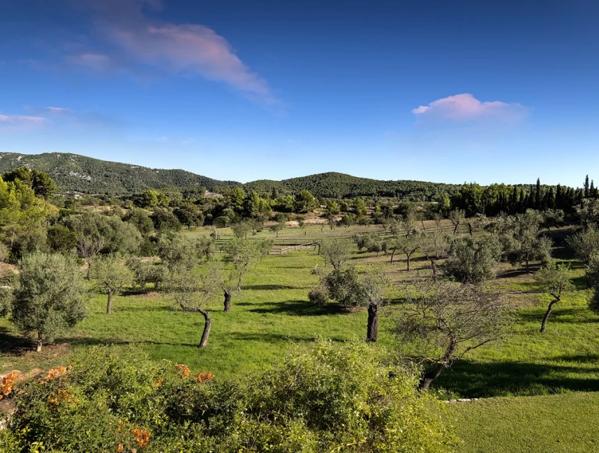 Exquisita Finca Mediterránea en Calvia con Piscina, Casa de Huéspedes y Cuadras para Caballos-23